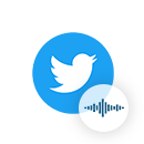 Twitter Spaces - Слушатели на 5 минут